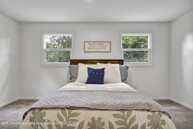 bedroom featuring carpet floors