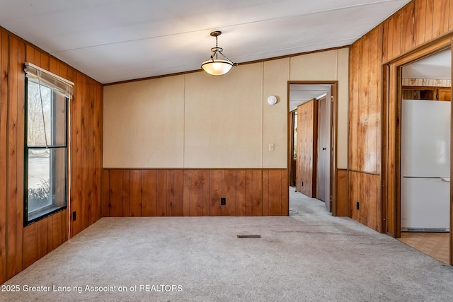 spare room featuring light colored carpet, plenty of natural light, and wooden walls