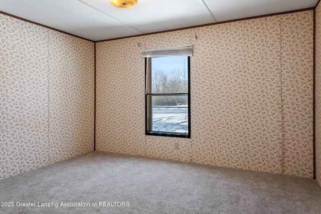 empty room featuring ornamental molding and carpet