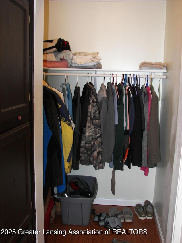 view of closet