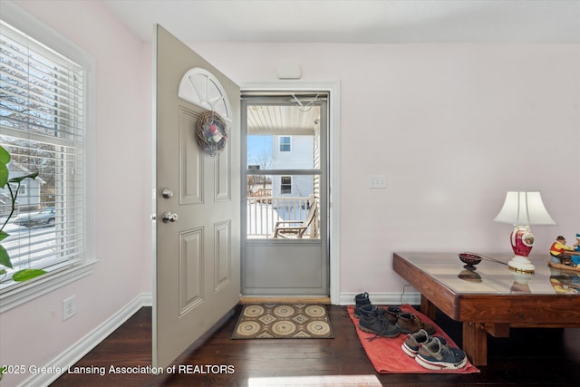 foyer entrance featuring dark wood-type flooring and plenty of natural light