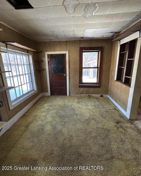 empty room featuring carpet flooring and wood walls