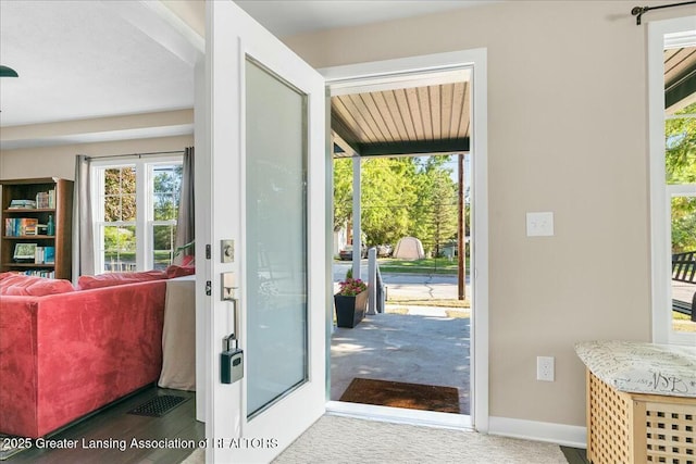 doorway featuring wood-type flooring