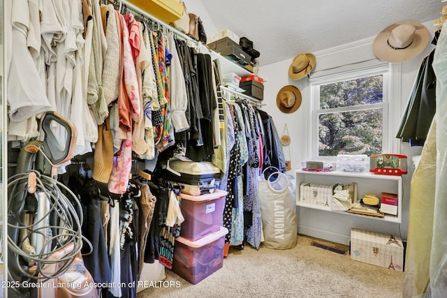 spacious closet featuring carpet