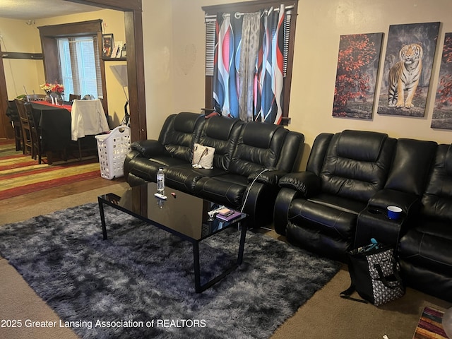 view of carpeted living room