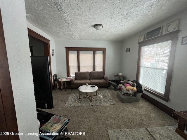 living room with a textured ceiling and carpet flooring