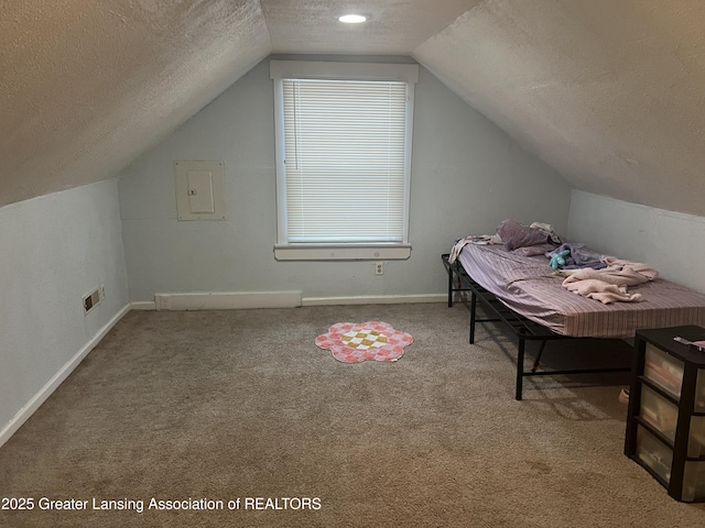 additional living space featuring vaulted ceiling, electric panel, a textured ceiling, and carpet flooring