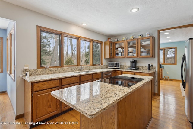 kitchen with stainless steel appliances, plenty of natural light, sink, and light stone counters