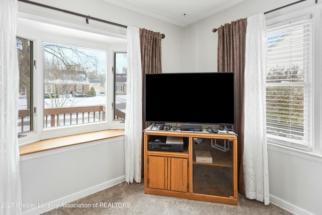 living room with carpet floors