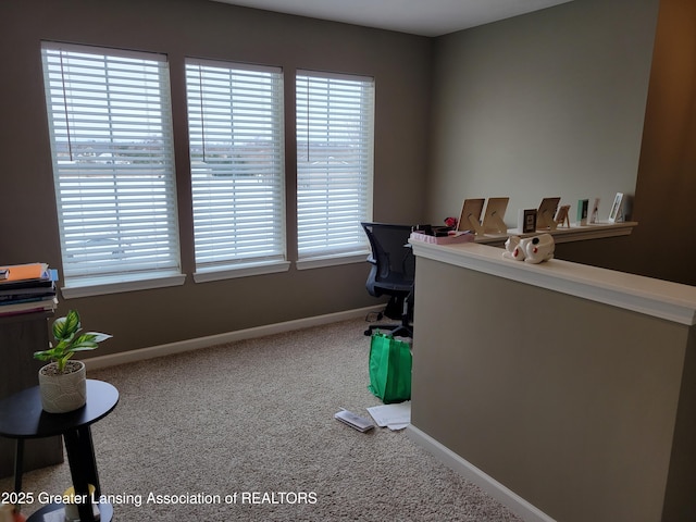 office with carpet flooring