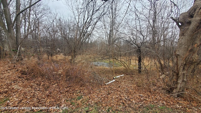 view of landscape