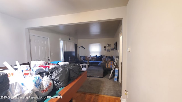 living room with hardwood / wood-style floors