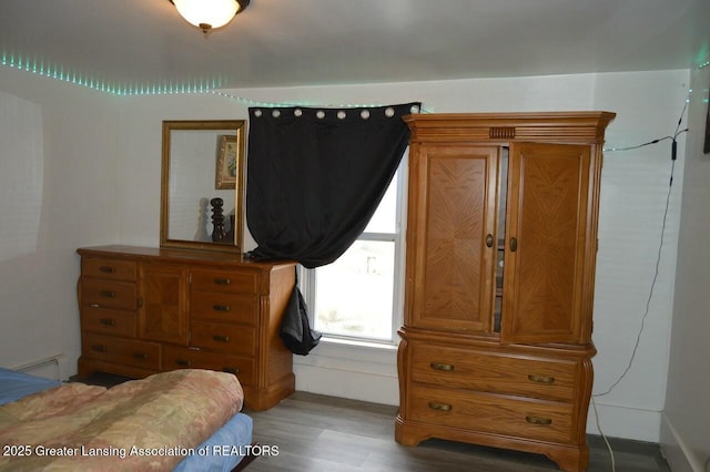 bedroom with hardwood / wood-style flooring and a baseboard radiator