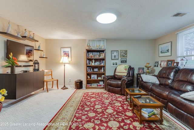 carpeted living room with a textured ceiling