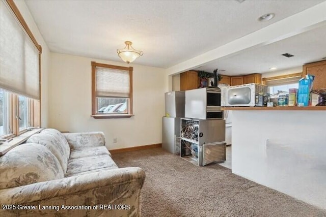 living room with carpet floors