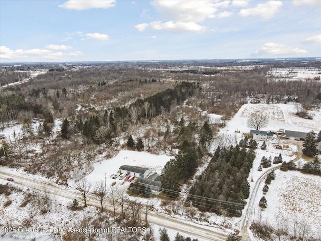 view of snowy aerial view