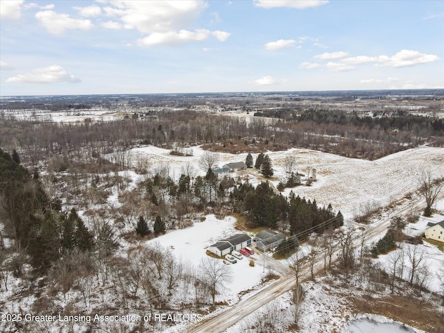 view of snowy aerial view