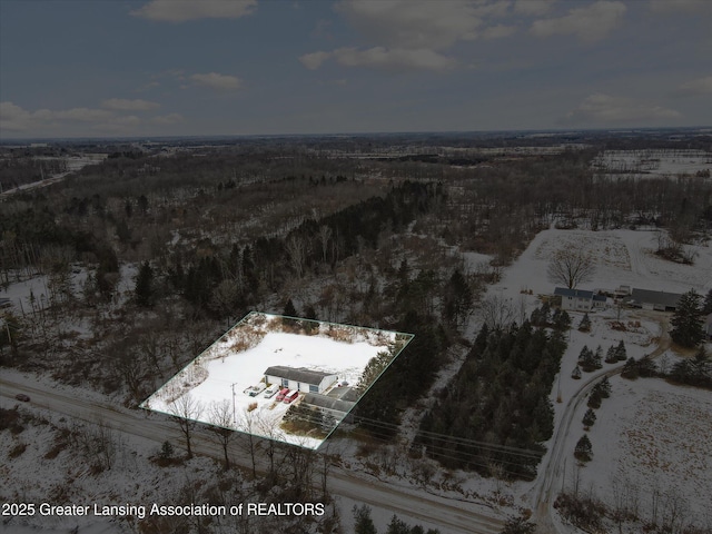 view of snowy aerial view