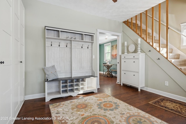 mudroom with dark wood-type flooring