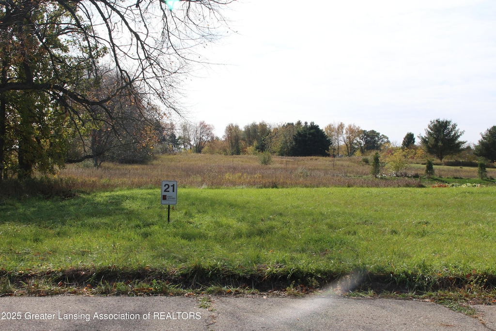 7370 Cross Creek Dr, Laingsburg, MI 48848
