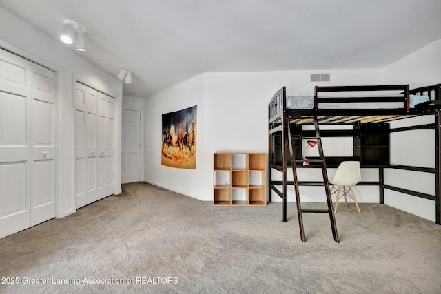 unfurnished bedroom featuring multiple closets and carpet flooring