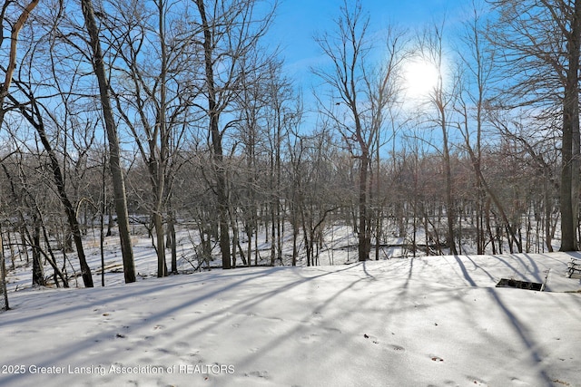 view of snowy yard