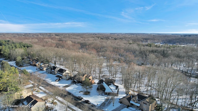 view of snowy aerial view