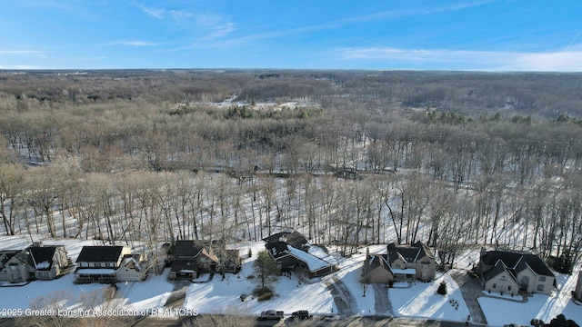 view of snowy aerial view