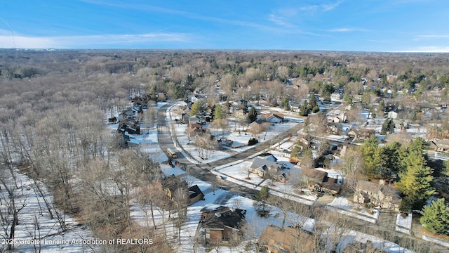 drone / aerial view