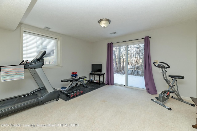 exercise room with carpet and a textured ceiling