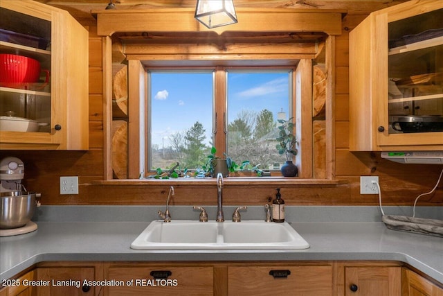 kitchen featuring sink