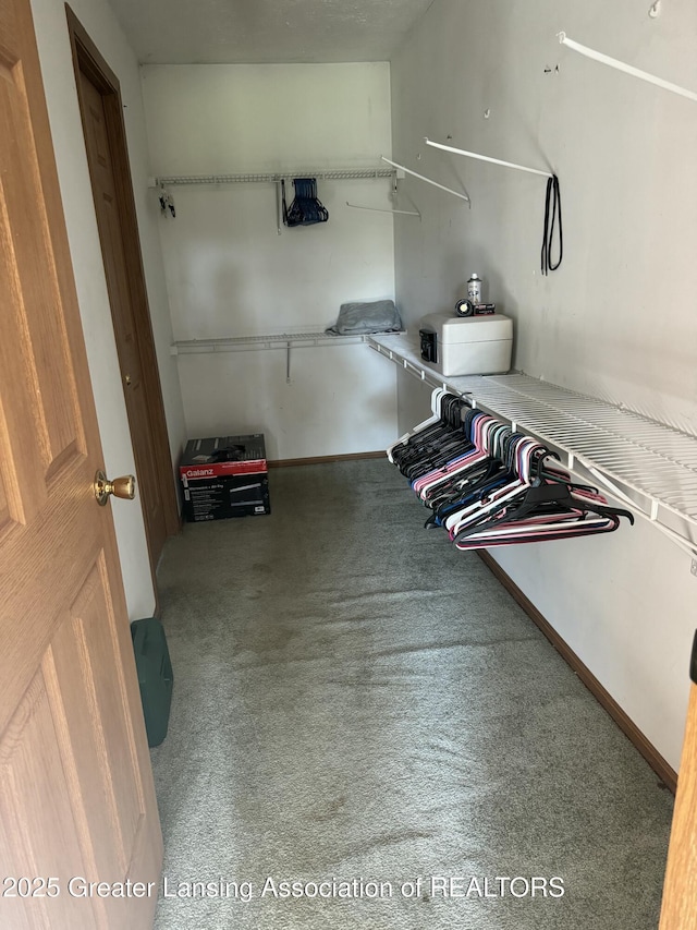 spacious closet with carpet flooring