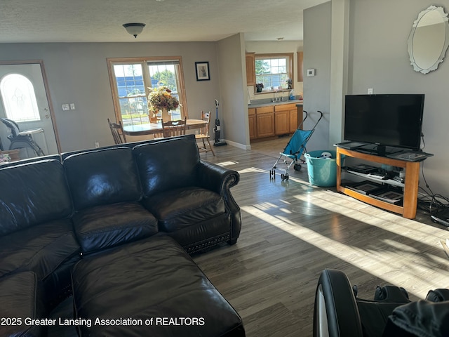 living room featuring a textured ceiling and light hardwood / wood-style flooring