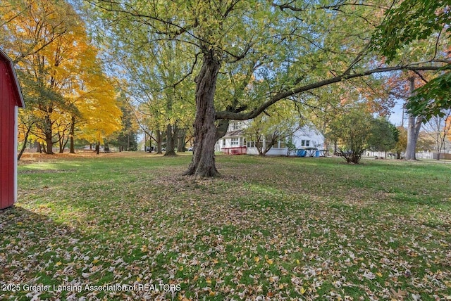 view of yard