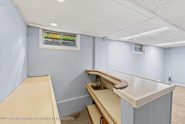 office featuring a sink, a paneled ceiling, and carpet flooring