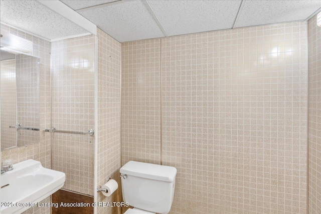 bathroom featuring toilet, a paneled ceiling, and a sink