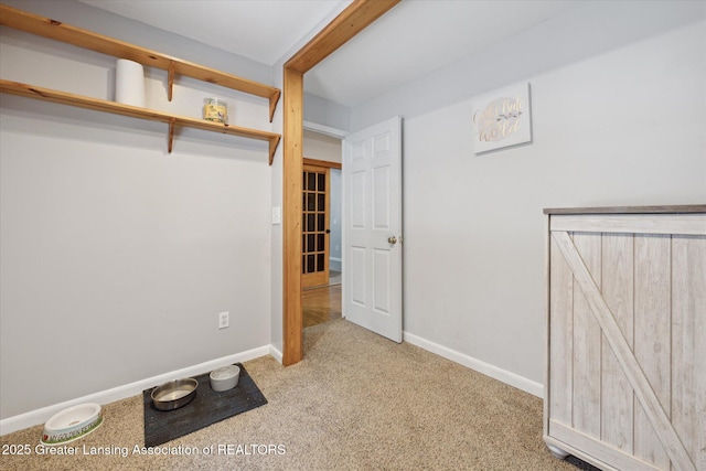 interior space with light carpet