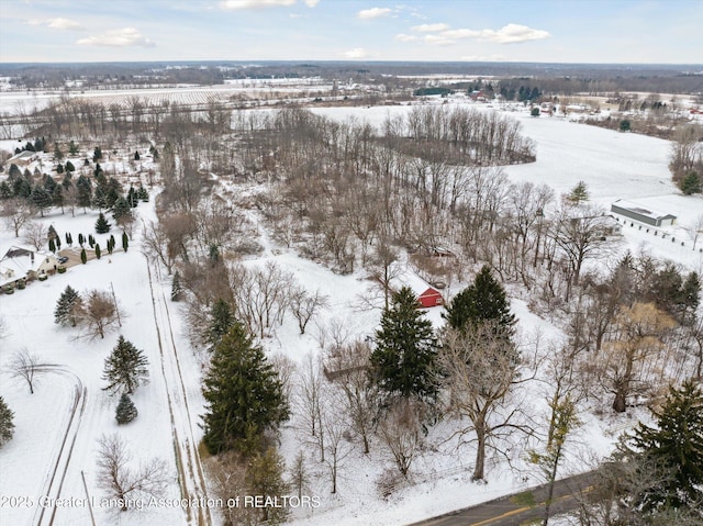 view of snowy aerial view