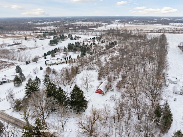 view of snowy aerial view