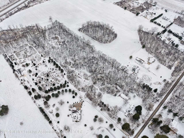 view of snowy aerial view