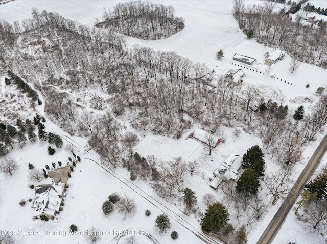 view of snowy aerial view