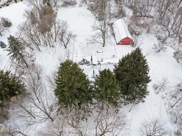 view of snowy aerial view