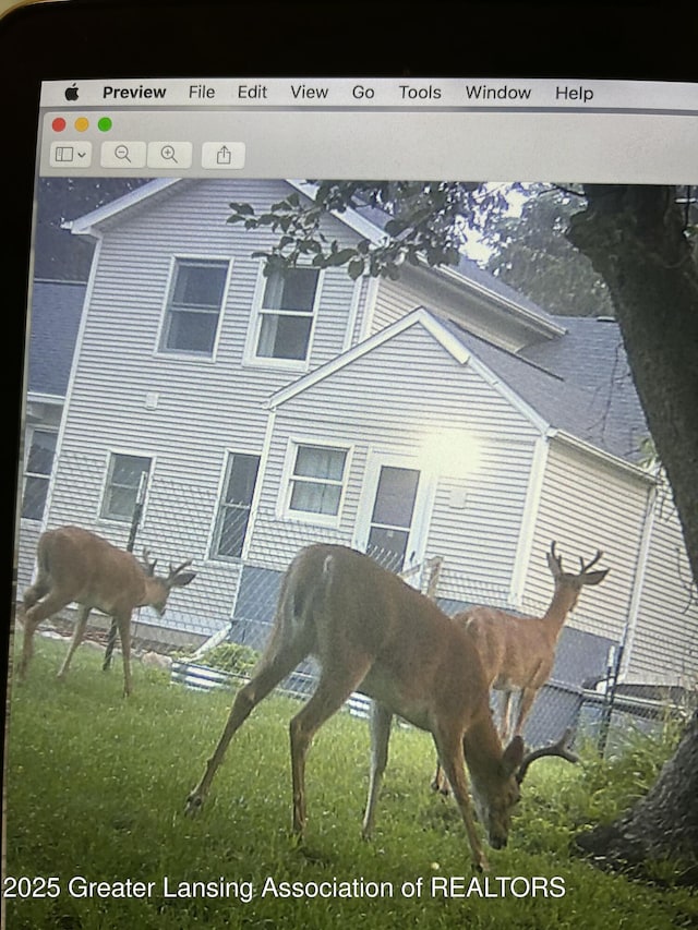 view of rear view of property