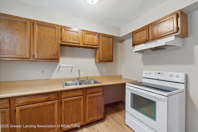 kitchen with white electric range oven, light hardwood / wood-style floors, sink, and a textured ceiling