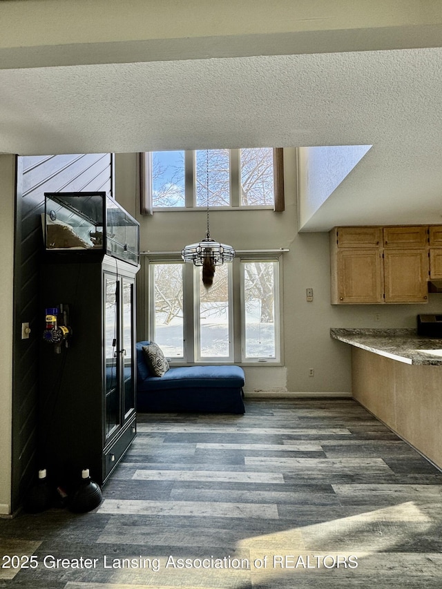 interior space with wood-type flooring and a textured ceiling