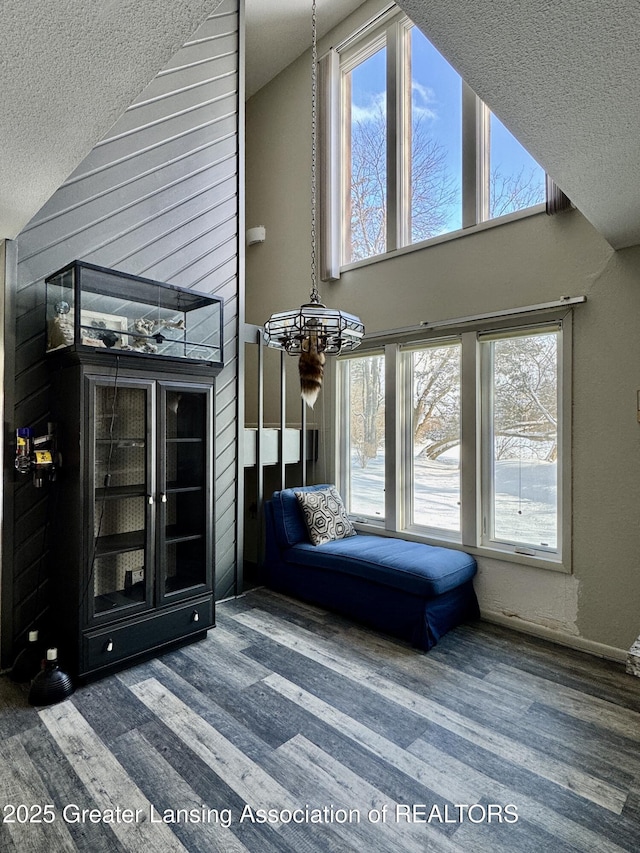 unfurnished room with dark wood-type flooring, high vaulted ceiling, and a textured ceiling