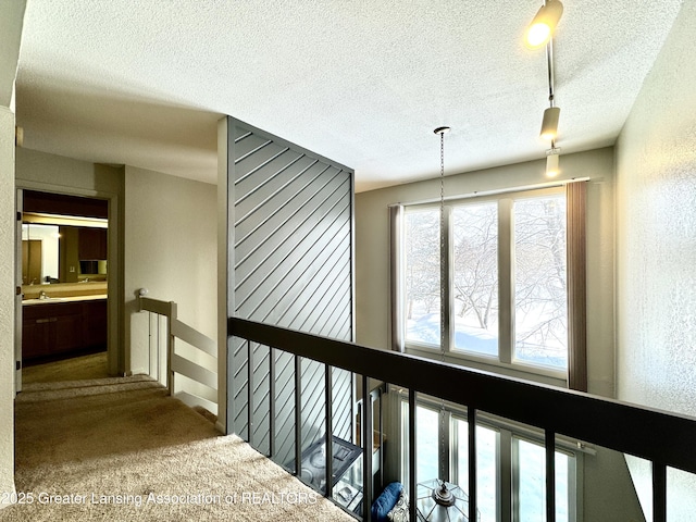 corridor featuring sink, a textured ceiling, and carpet