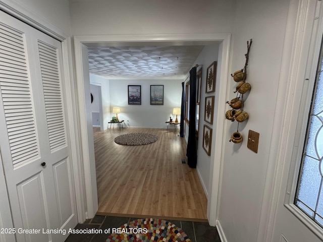 corridor featuring dark hardwood / wood-style floors