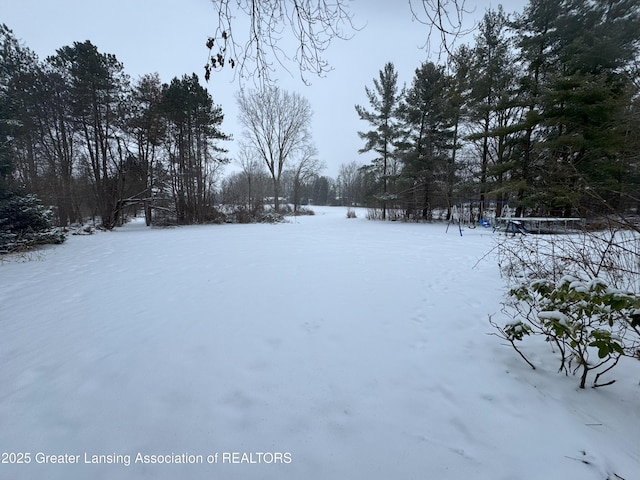 view of snowy yard