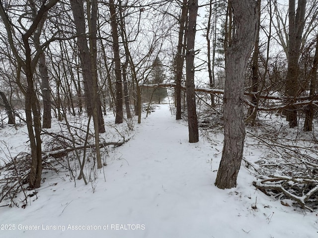 view of yard covered in snow